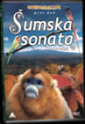 Šumska sonata 1